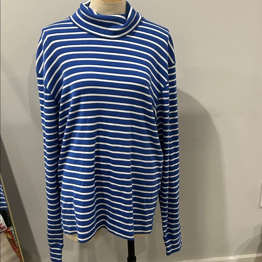 J. Crew Men's Turtleneck Sweater in Blue and‎ White Stripes
